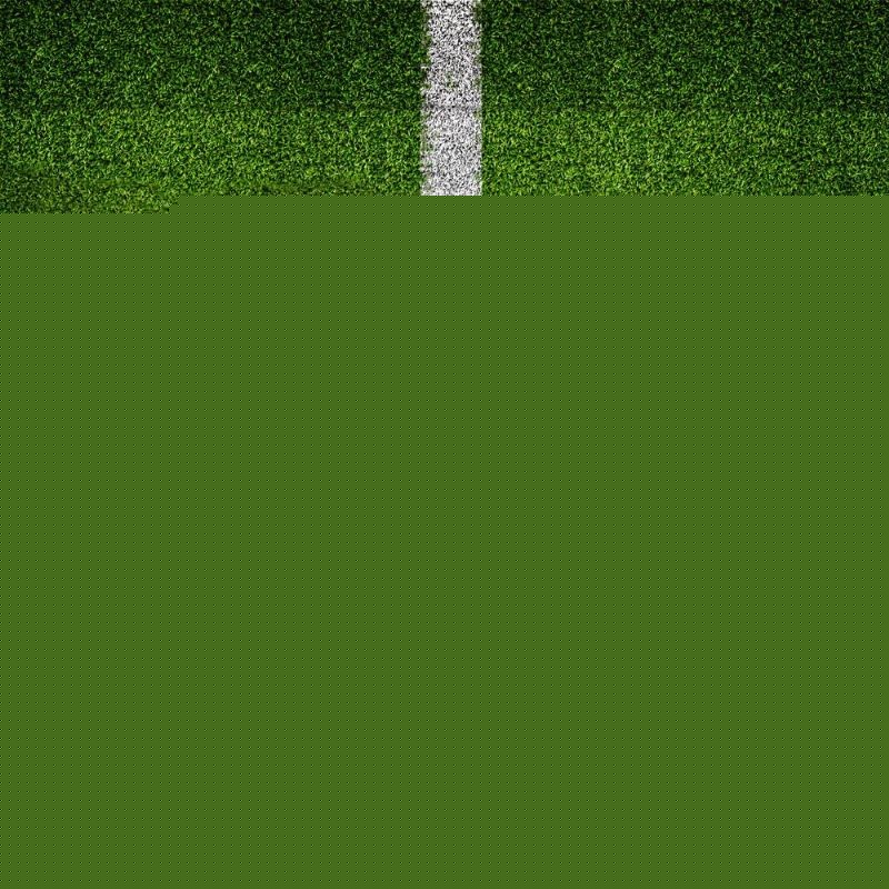 20251